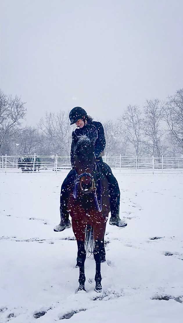 Snowy Ride in Redingote